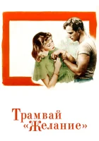  Трамвай «Желание» смотреть онлайн (1951) 