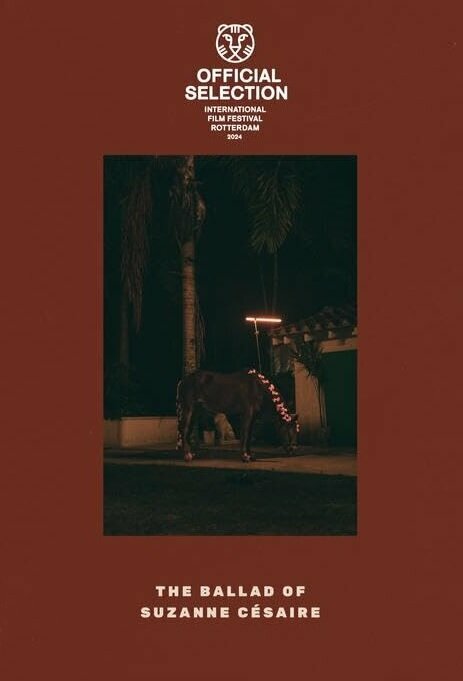  Баллада о Сюзанн Сезер смотреть онлайн (2024) 