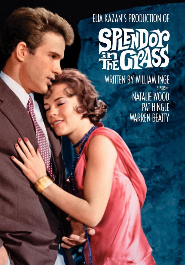  Великолепие в траве смотреть онлайн (1961) 